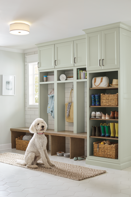 A mudroom adjacent to the kitchen with light-green cabinets for storage, hooks for coats and bags, a wooden bench for seating and shoes, and a sweet pup sitting on a natural fiber rug. 