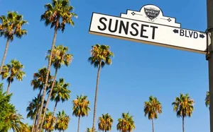 Palm trees behind "Sunset Blvd" street sign.