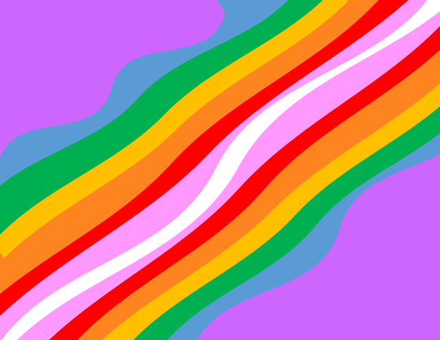 Sexual and Gender Diverse Women Curriculum