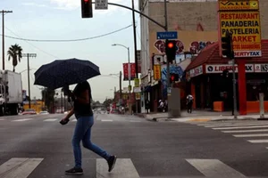 Person crossing the street while holding an umbrella.