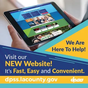 DPSS Digital Civic Engagement 2 - Webpage.jpg