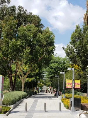 walkway in grand park