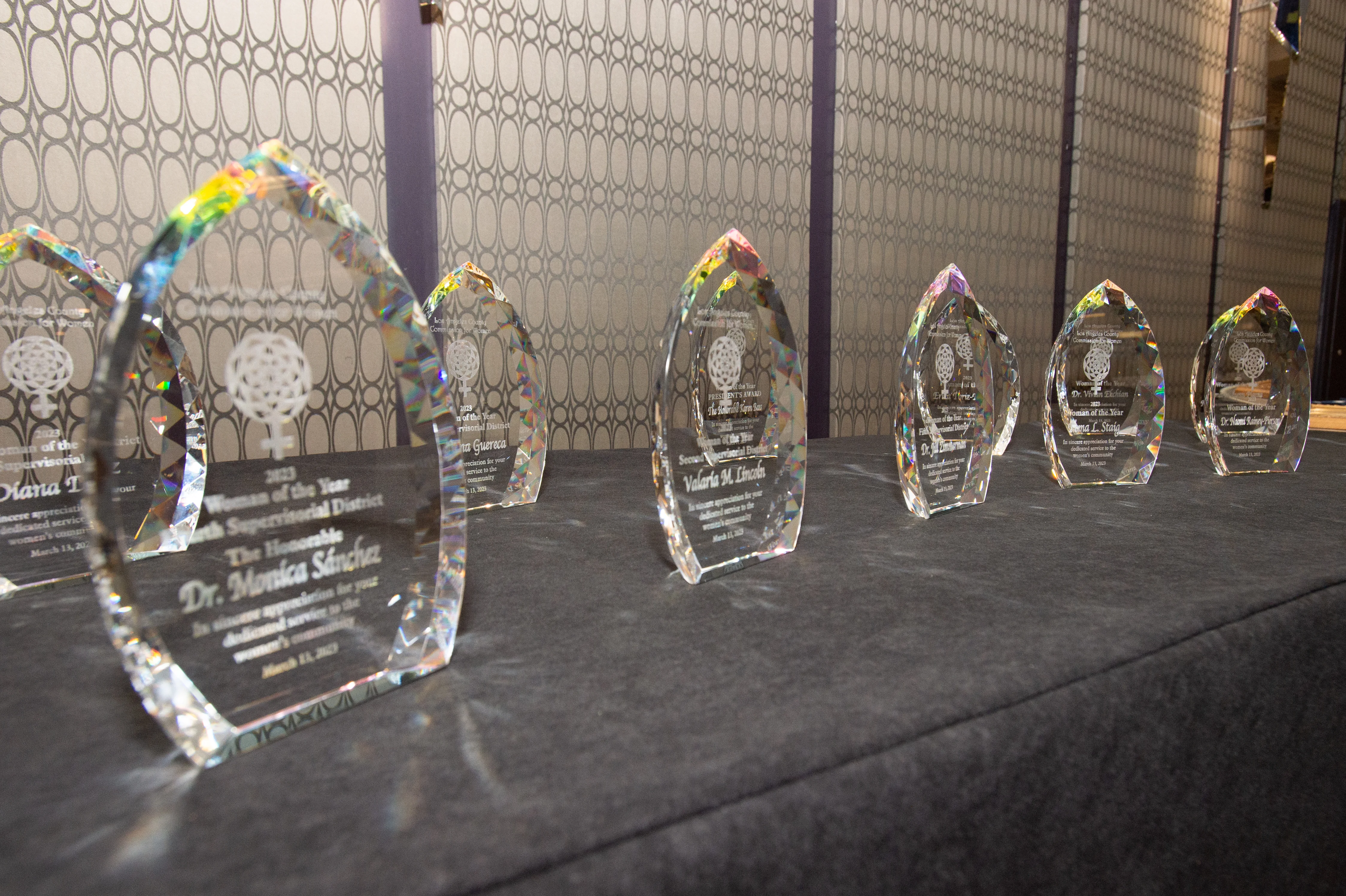 39th Annual Women of the Year Awards.