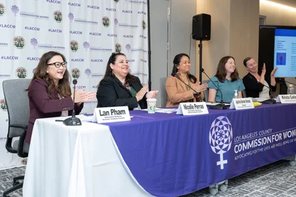 2025 8th Annual DV Briefing cover image.