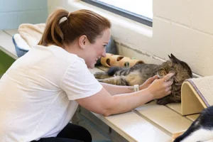 Supervisor Horvath petting a cat on a table