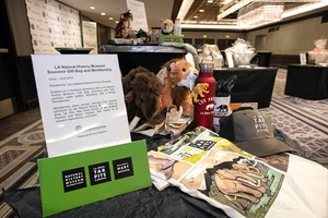 Arts and crafts being displayed on a table.