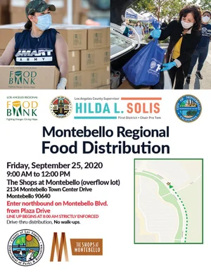 DPSS Outbound Text Campaign 1 - Webpage.jpg