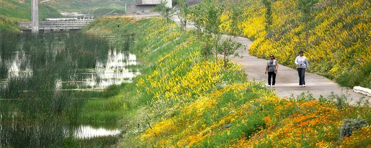 LA Public Works_Wetlands.jpg