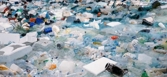 Trash in a landfill.