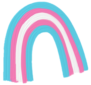 Transgender Rainbow.png