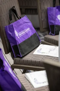Purple bags placed on chairs.