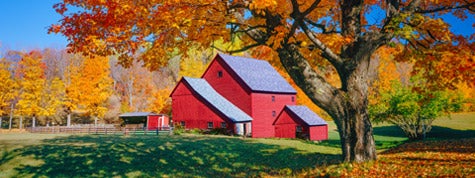 Autumn country side with rolling hills in Vermont with old weathered barn