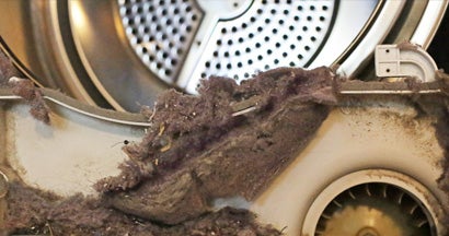 Dryer lint 