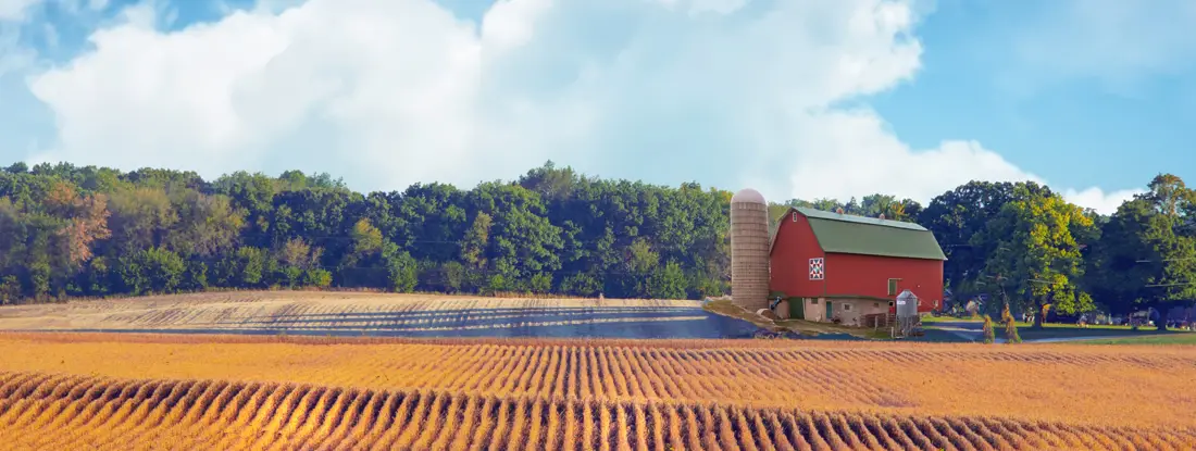 Rolling soybean field with red barn. Find Farm Insurance.