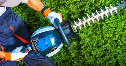 landscaper trimming a bush