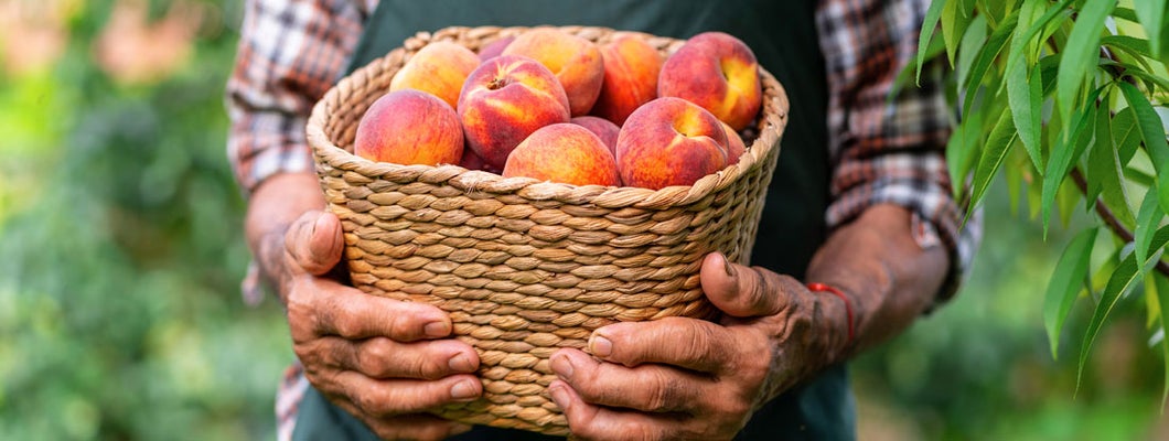 Lawrenceville Georgia business insurance