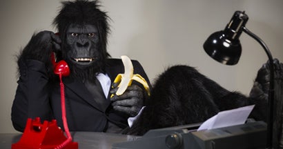 A man in a gorilla suit talking on the telephone in his office.