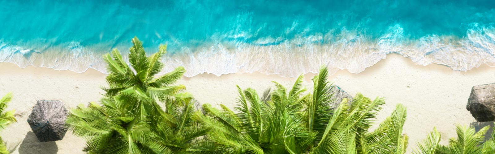 Florida-Peninsula hero