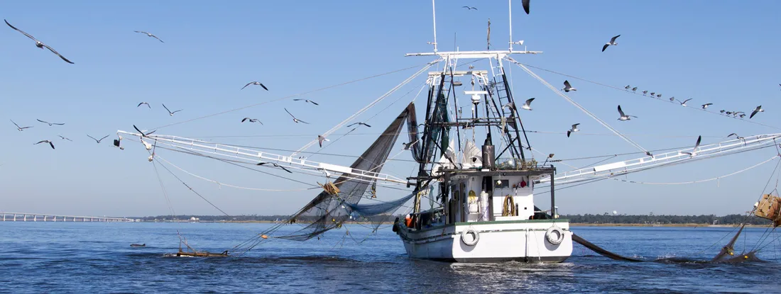Gulf Coast Shrimping Boat in Biloxi. Find Commercial Boat Insurance.