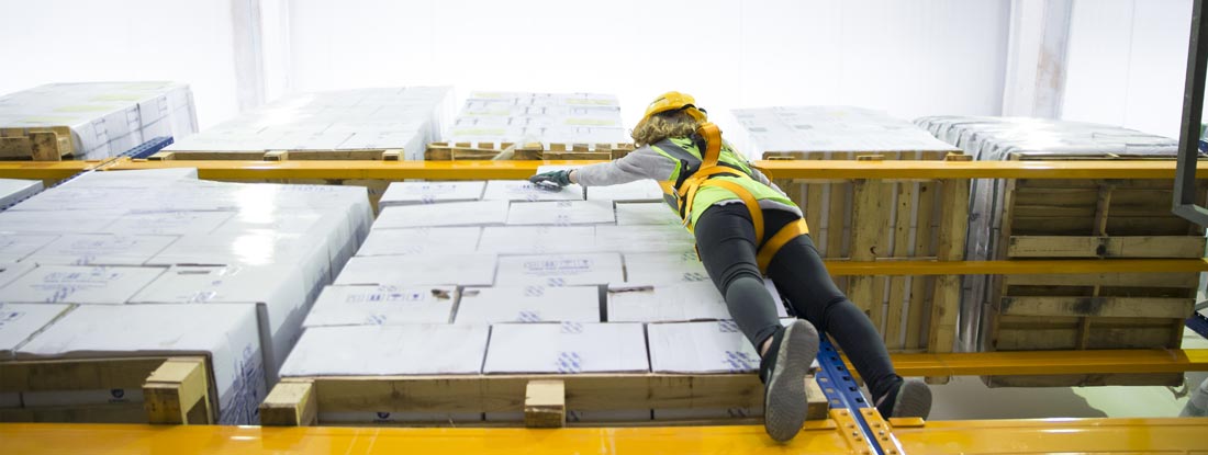 Women with safety harness in warehouse. Workers Compensation Insurance State Laws and Requirements.