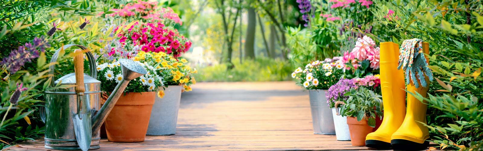 Arbella Insurance 1 Rated Company Find an Agent