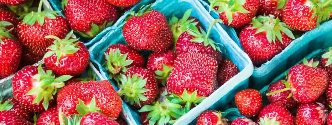 Baskets of juicy, ripe strawberries at a Cape Cod farmers market. Find Farmers Market Insurance.