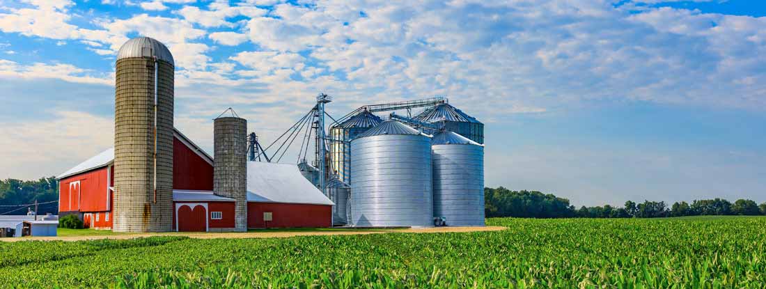 Midwest farm with spring corn crop and red barn. Find South Carolina Farm Insurance.