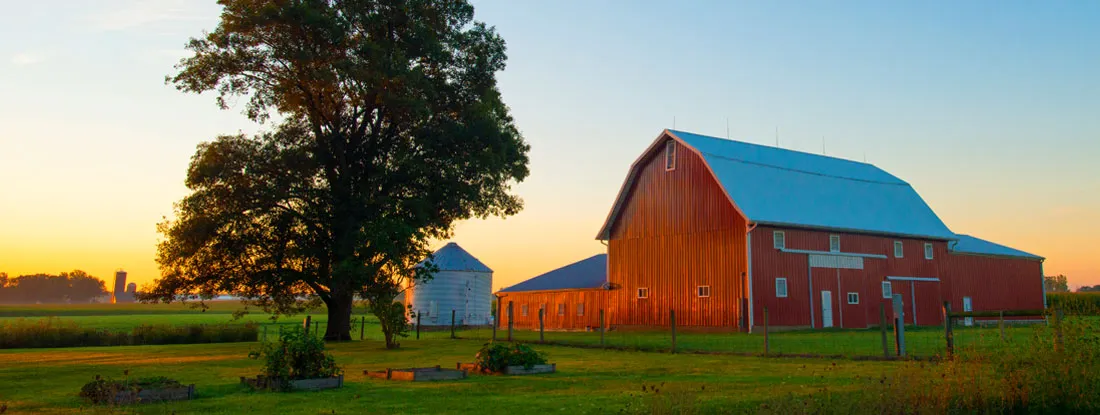 Red Barn at Sunrise. Find Farm Insurance.