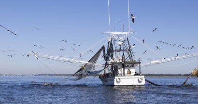 Gulf Coast Shrimping Boat in Biloxi. Find Commercial Boat Insurance.