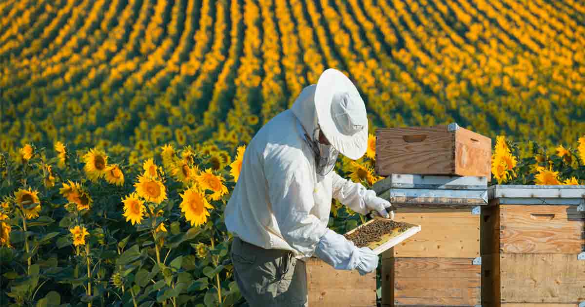 Hobby Farm Insurance What Does It Cover? Trusted Choice