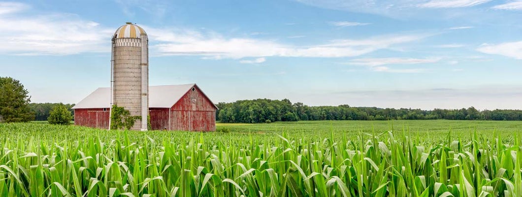 Lake Bluff Illinois Farm Insurance