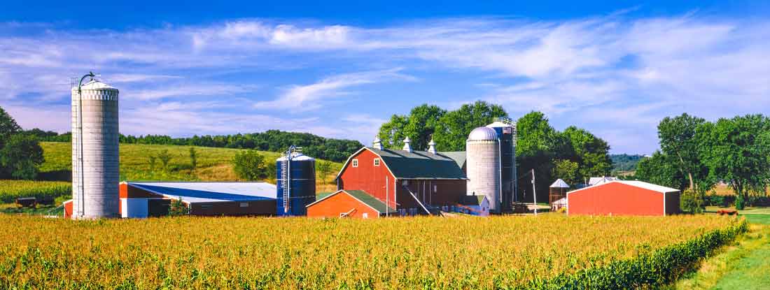 Red barn and silos, and a field of corn in Iowa. Iowa State Laws and Regs.