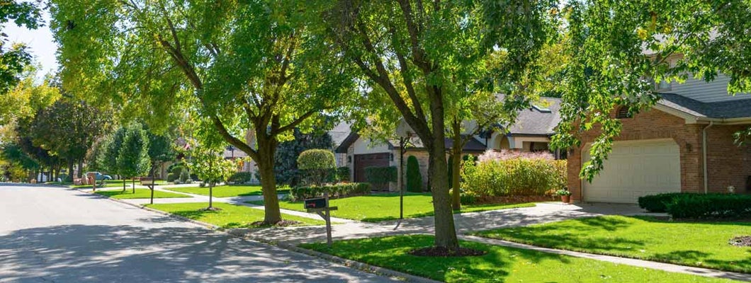 Chesaning, Michigan Homeowners Insurance