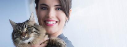 The shocking truth about cat food