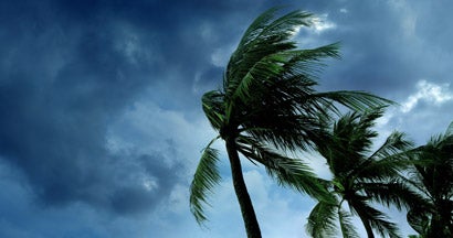 Waving palm trees in windy tropical storm over cloudy dark sky. Find hurricane insurance.