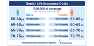 Best Life Insurance For Seniors In 2025 Trusted Choice