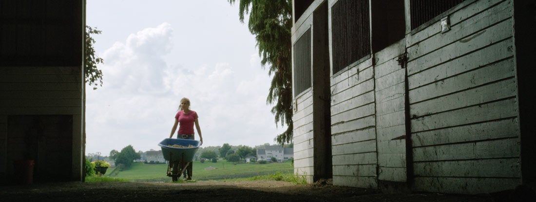 Woman working in a stable yard. Insuring your hobby farm's barn or other structures.
