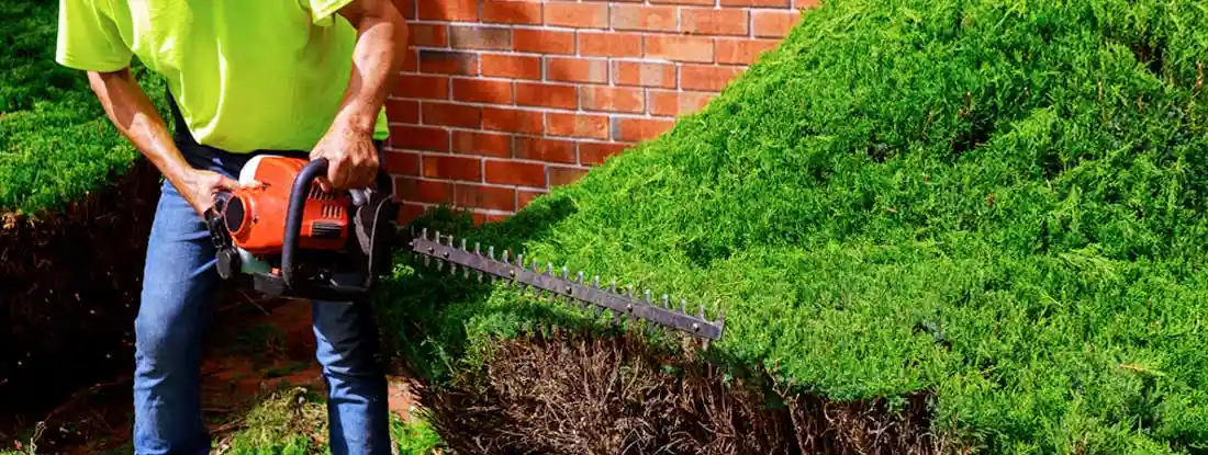 Landscaper trimming bushes. Massachusetts Landscapers Insurance.