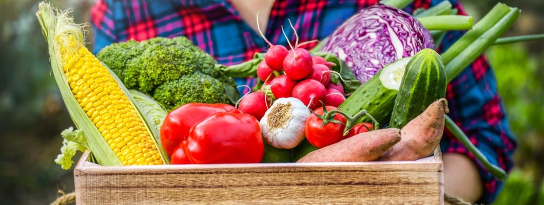 Massachusetts Produce Store Insurance