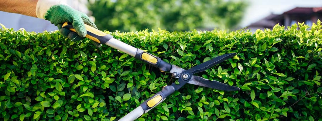 Illinois Landscapers Insurance