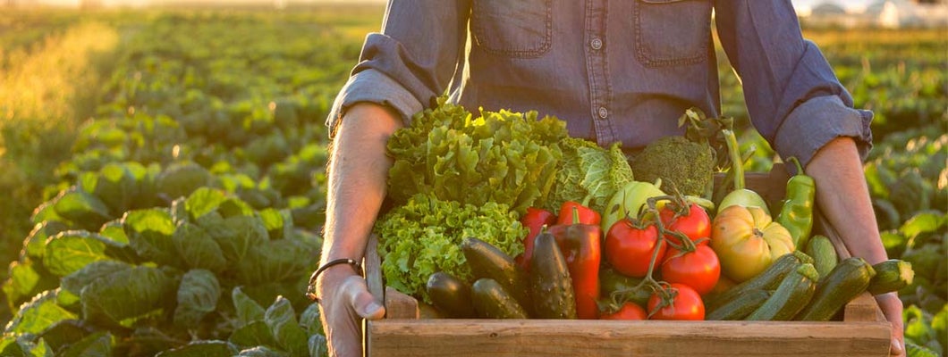 Man holding crate of fresh vegetables to sell