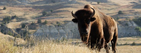 Theodore Roosevelt National Park, North Dakota