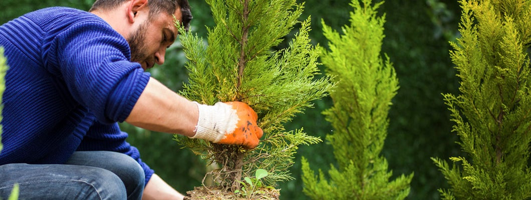 Mississippi Landscapers Insurance