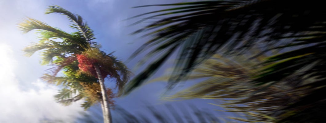 Plantation Florida Hurricane Insurance