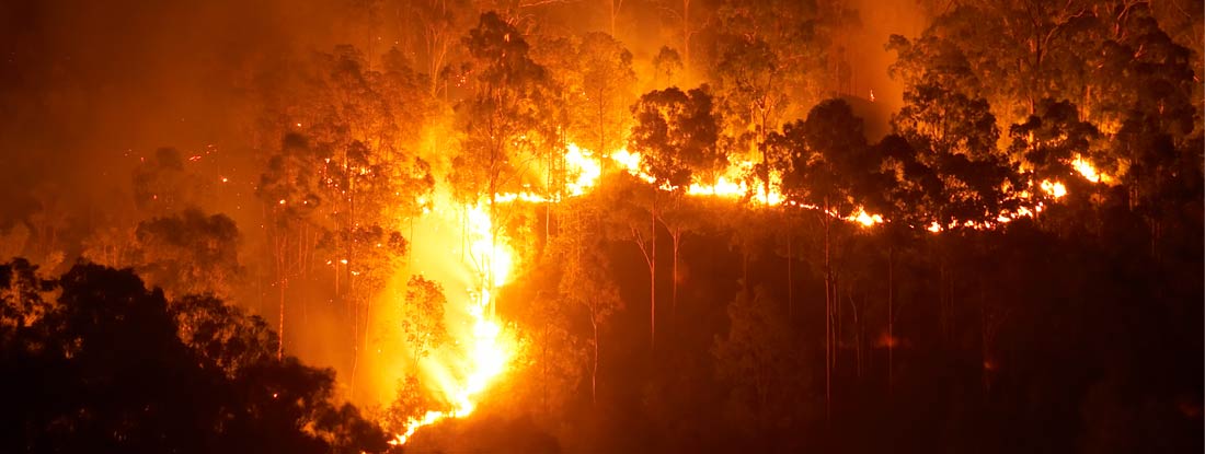 A wildfire burns uphill in the mountains. 5 homeowners insurance steps after wildfire. 