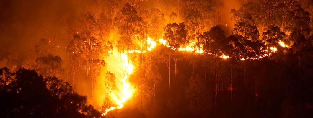 A wildfire burns uphill in the mountains. 5 homeowners insurance steps after wildfire. 