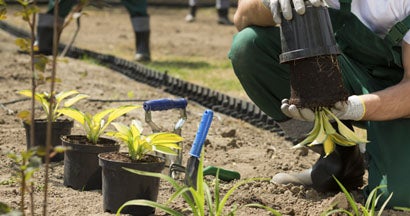 Landscaping Insurance