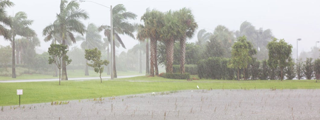 Clearwater Florida Flood Insurance