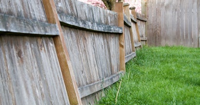 A shared fence falls