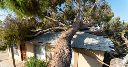 Tree falls on neighbors roof of home after huge storm.  All the home insurance secrets your agent left out. 